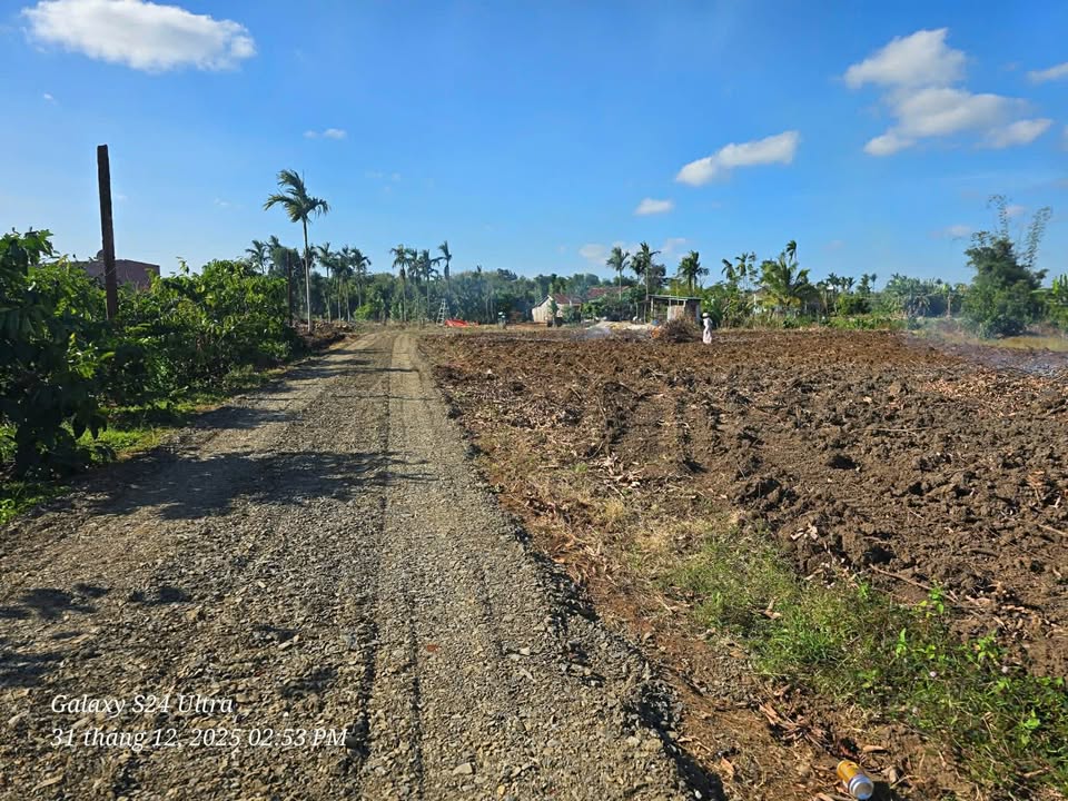 Đất thổ cư 164m² thôn Bình Minh - Giá chỉ 299 triệu - Cơ hội đầu tư tuyệt vời!