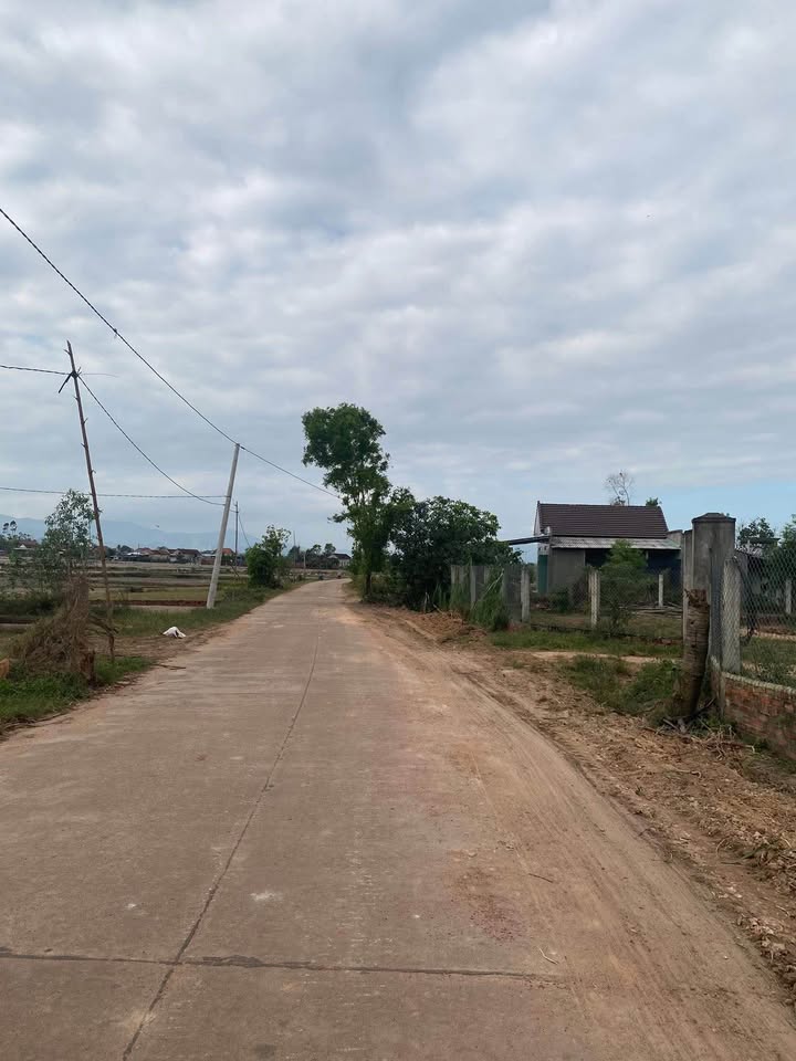 Đất nền liền kề xã Bình Thuận, Tây Sơn 183m² giá chỉ 4xx triệu - Cơ hội đầu tư hấp dẫn!