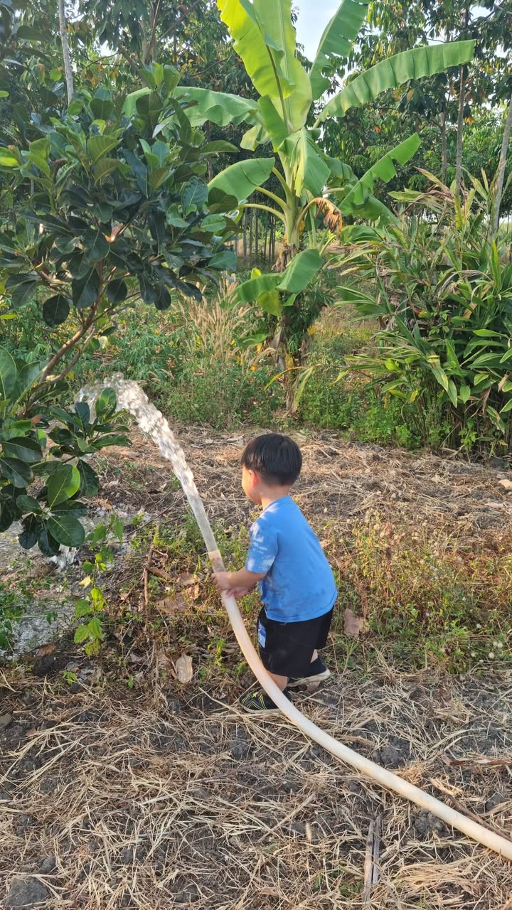 Farm 20.000m² tại Xã Thanh Hòa, Huyện Như Xuân - Tiềm năng phát triển tuyệt vời!