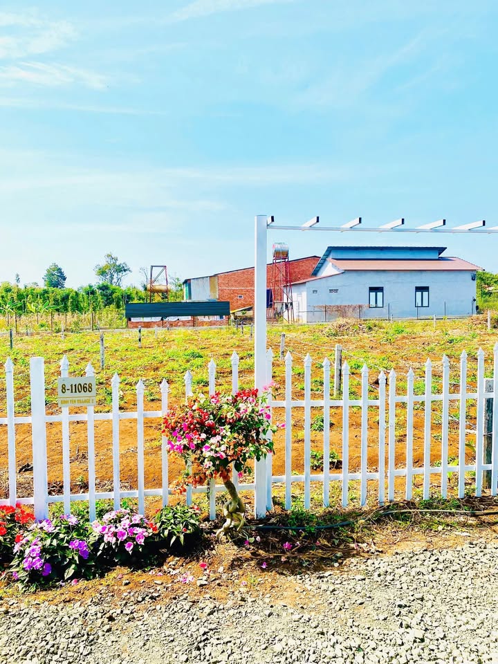 Đất thổ cư 60m² tại Cư Kuin, Đắk Lắk - Chỉ 209 triệu - Sổ đỏ chính chủ!