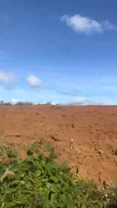 Farm 16ha tại Xã Đăk Yă, Huyện Mang Yang, Gia Lai - Cho thuê dài hạn chỉ 592 triệu/năm!