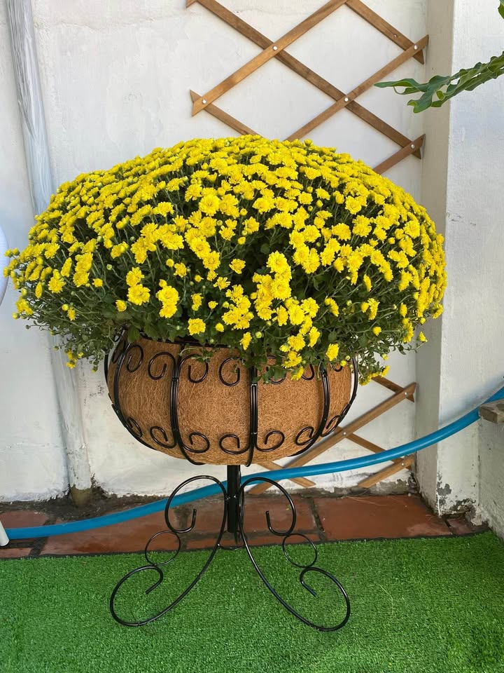 Nhà mặt tiền Hồ Tùng Mậu, Kon Tum 190m² giá 2 tỷ - Kinh doanh tốt!