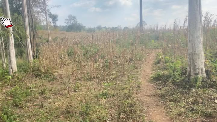 Đất Farm 20ha xã Ia Piar, Huyện Phú Thiện, Gia Lai - Lợi nhuận tiềm năng cao!