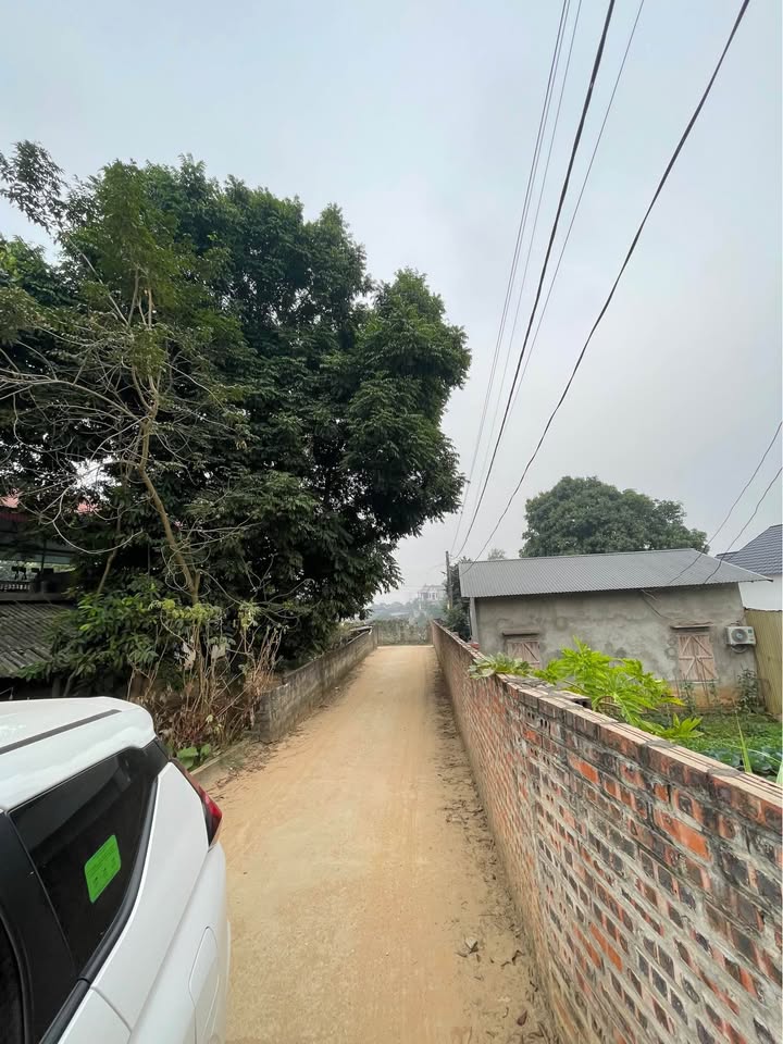 Đất nền khu 8 xã Hà Lộc 129m² giá 700 triệu - Cơ hội đầu tư tuyệt vời!