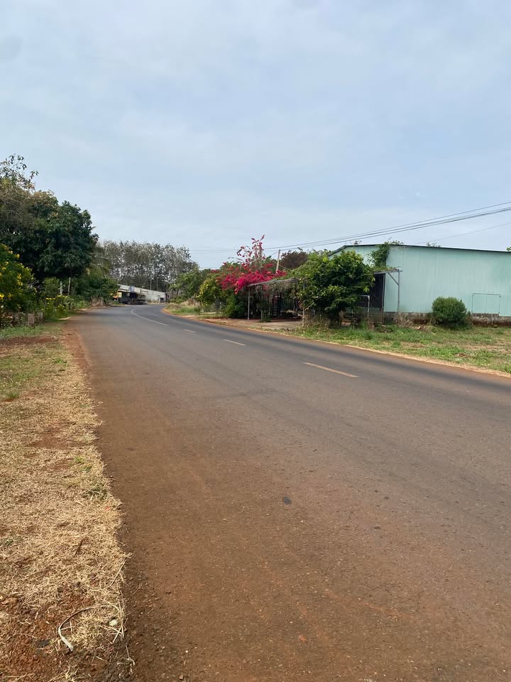 Đất nền Bù Đăng 600m² giá 60 tỷ - Sổ đỏ chính chủ, phù hợp làm kho xưởng!