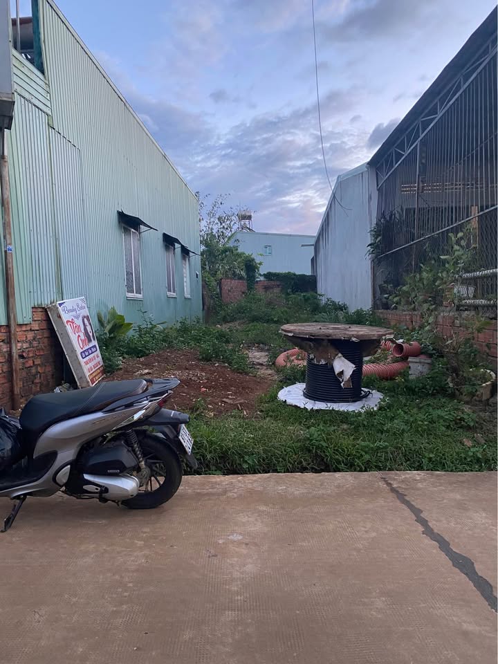 Đất nền chính chủ Phường Hội Phú, 100m² giá 1.3 tỷ - Đầu tư sinh lời hấp dẫn!