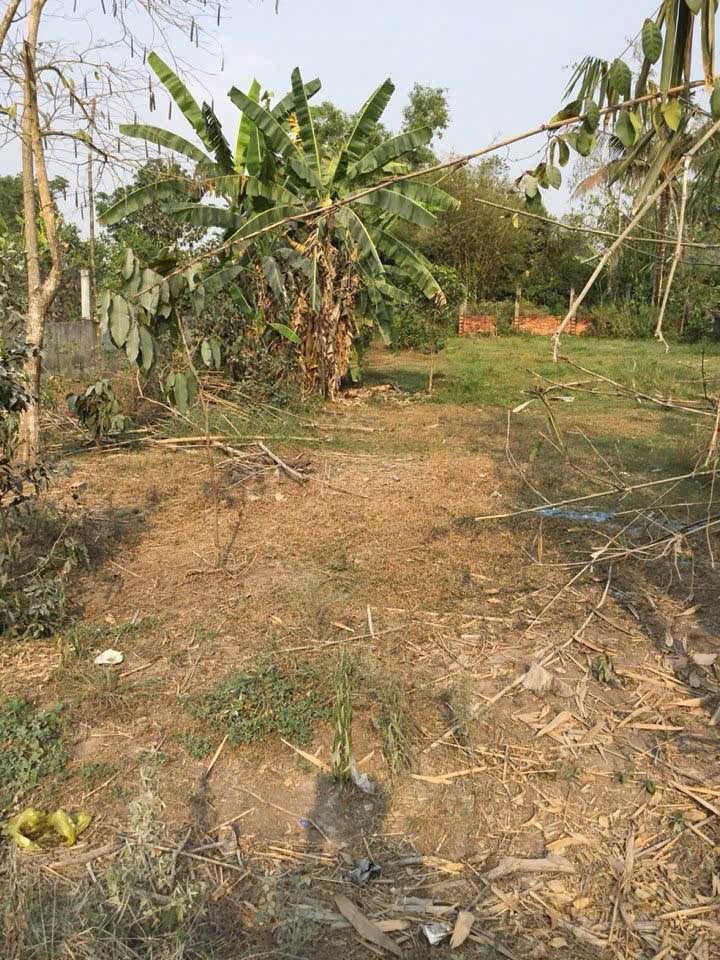 Đất thổ cư 1000m² Hòa Khánh Đông, Đức Hòa chỉ 5.5 tỷ - Tiềm năng đầu tư lớn!