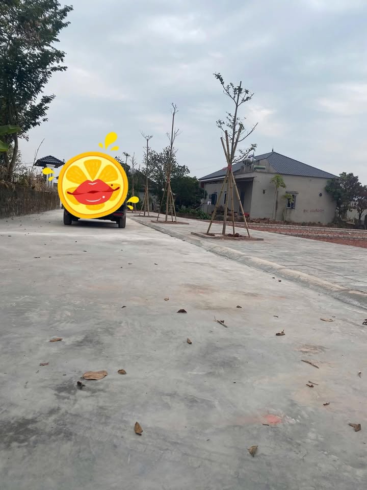 Đất nền Tiên Nha, Lục Nam, Bắc Giang 172m² giá 600 triệu - Cơ hội đầu tư tuyệt vời!