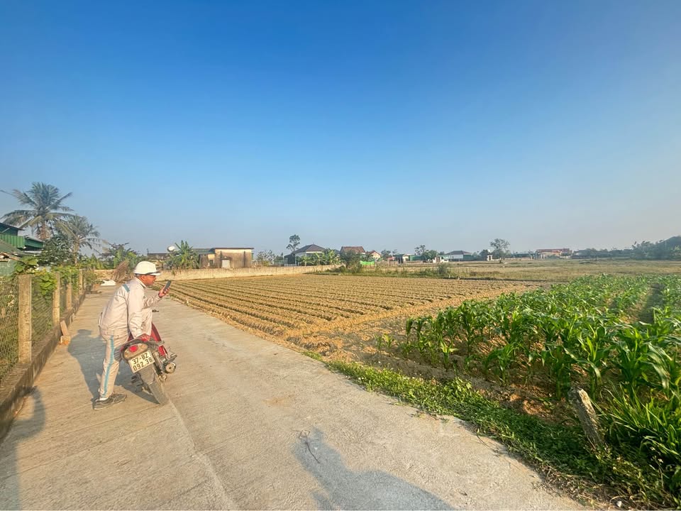 Đất nền đẹp Xóm Trường An – Nghi Lộc 300m² giá 2.31 tỷ - Đầu tư sinh lời ngay!