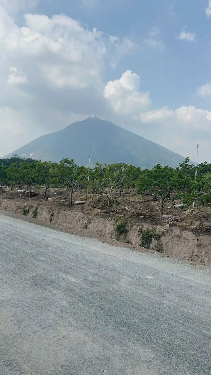 Đất nền Dương Minh Châu 200m² giá 420 triệu - Cơ hội đầu tư sinh lời!