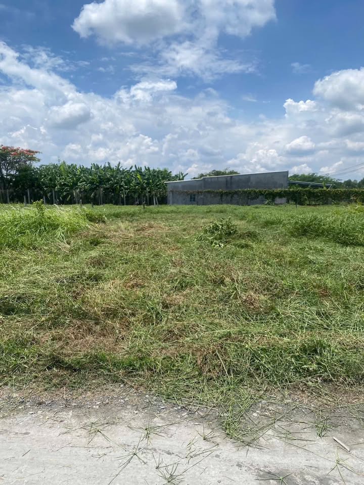 Đất thổ cư Hòa Khánh Đông 125m² giá 800 triệu - Cần bán gấp!