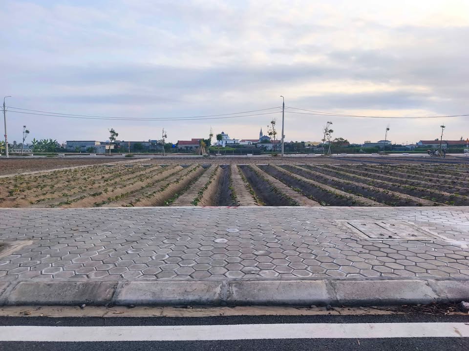 Đất nền Khu Dân Cư Tập Trung Ven Biển Quất Lâm 104m² giá thỏa thuận - Pháp lý rõ ràng, thanh khoản cao!