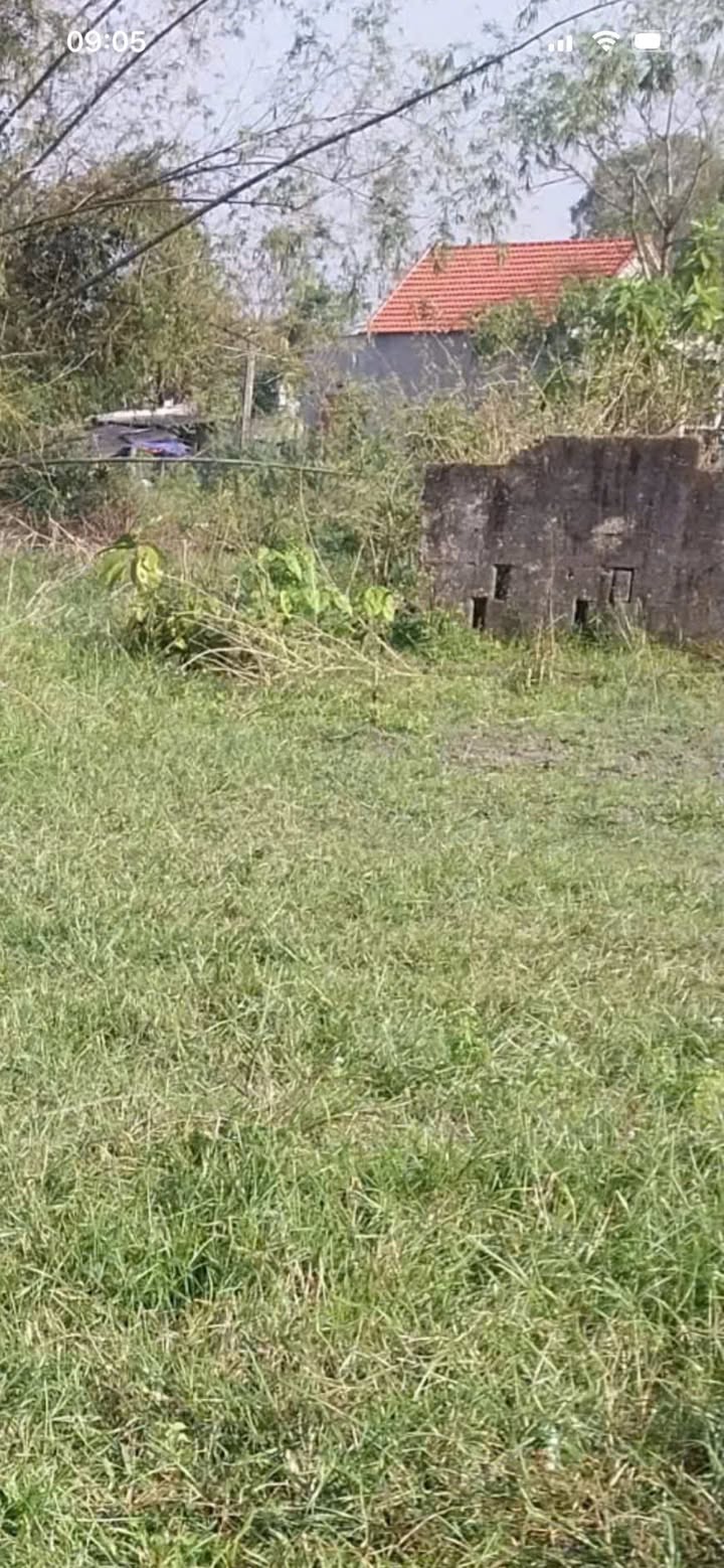 Đất mặt tiền Trần Thanh Từ, Hương Thủy 117m² giá 1.05 tỷ - Cơ hội đầu tư tốt!