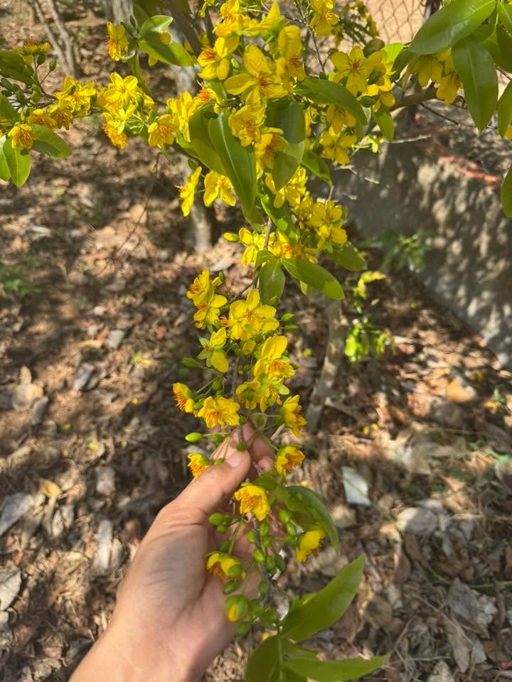 Đất nền Châu Pha Phú Mỹ 165m² giá 1.25 tỷ - Cơ hội đầu tư không thể bỏ lỡ!