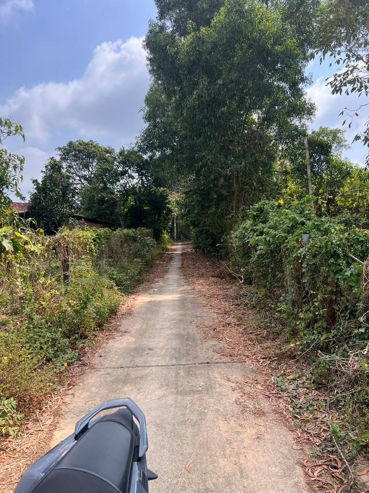 Đất nền 750m² xã Nghĩa Thành, Châu Đức giá 3.2 tỷ - Cơ hội đầu tư hấp dẫn!