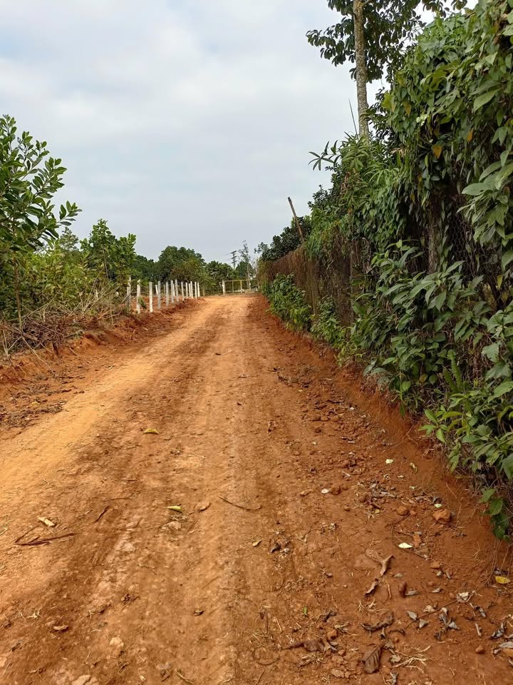 Đất Lạc Sơn, Hòa Bình 2700m² giá 800 triệu - Cơ hội đầu tư lý tưởng!