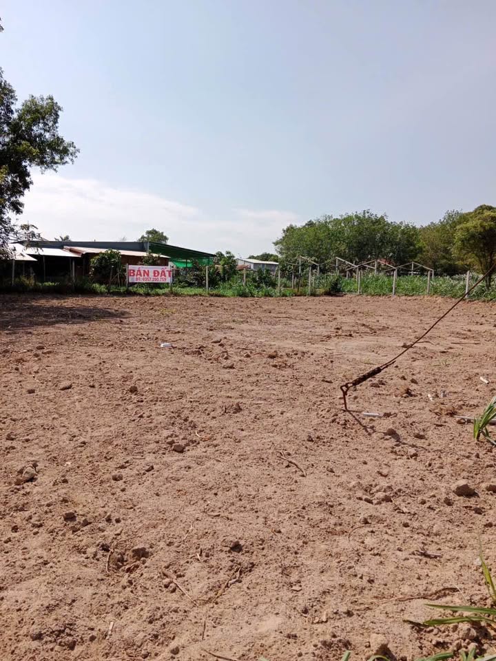 Đất thổ cư An Phú Củ Chi 2048m² giá 9.5 tỷ - Cơ hội đầu tư hấp dẫn!