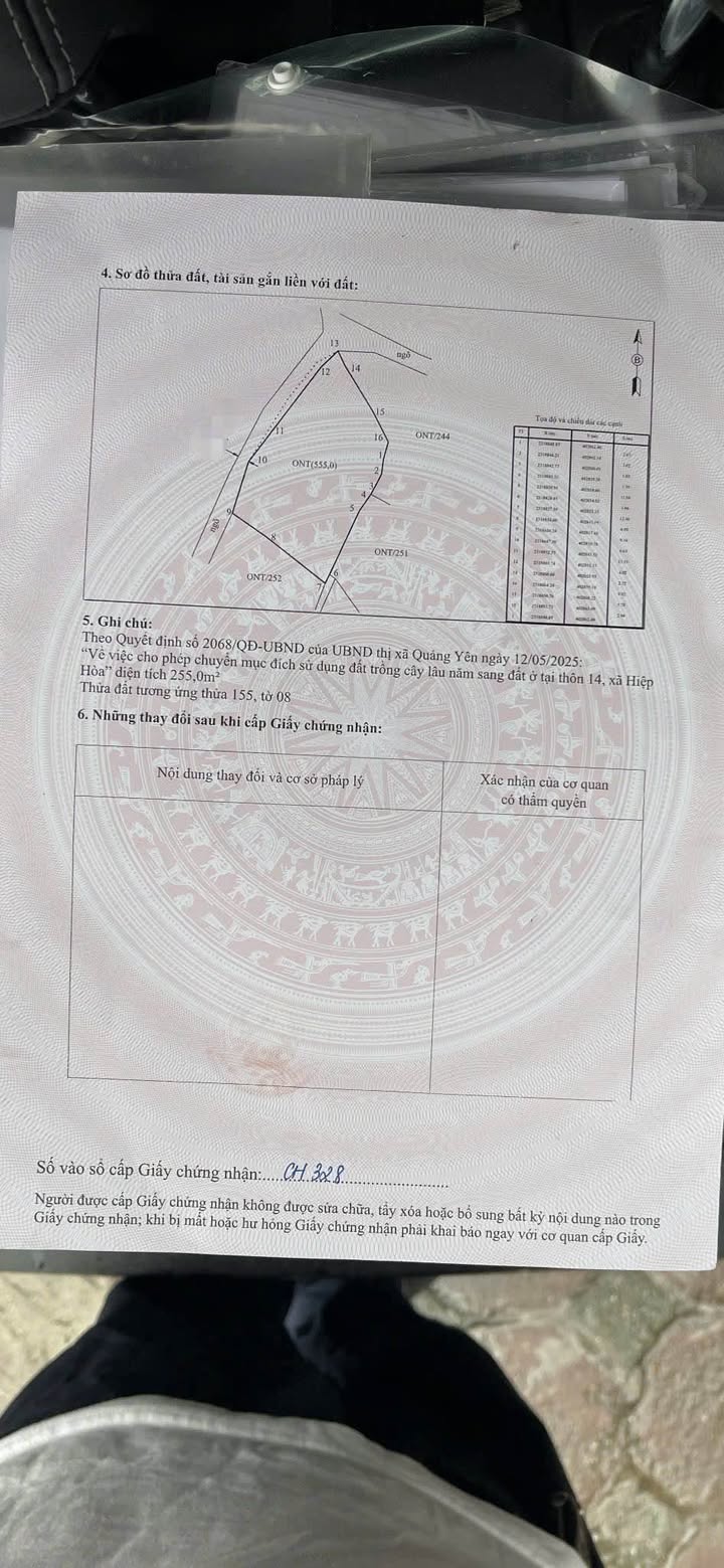 Đất nền Hạ Long 555m² giá thỏa thuận - Tiềm năng đầu tư lớn!