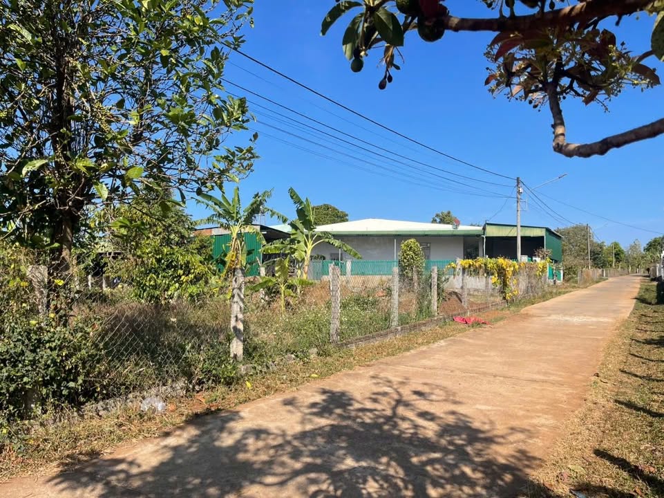 Đất nền 10x46m tại Làng Phùng, Xã Biển Hồ giá 1.3 tỷ - Pháp lý rõ ràng