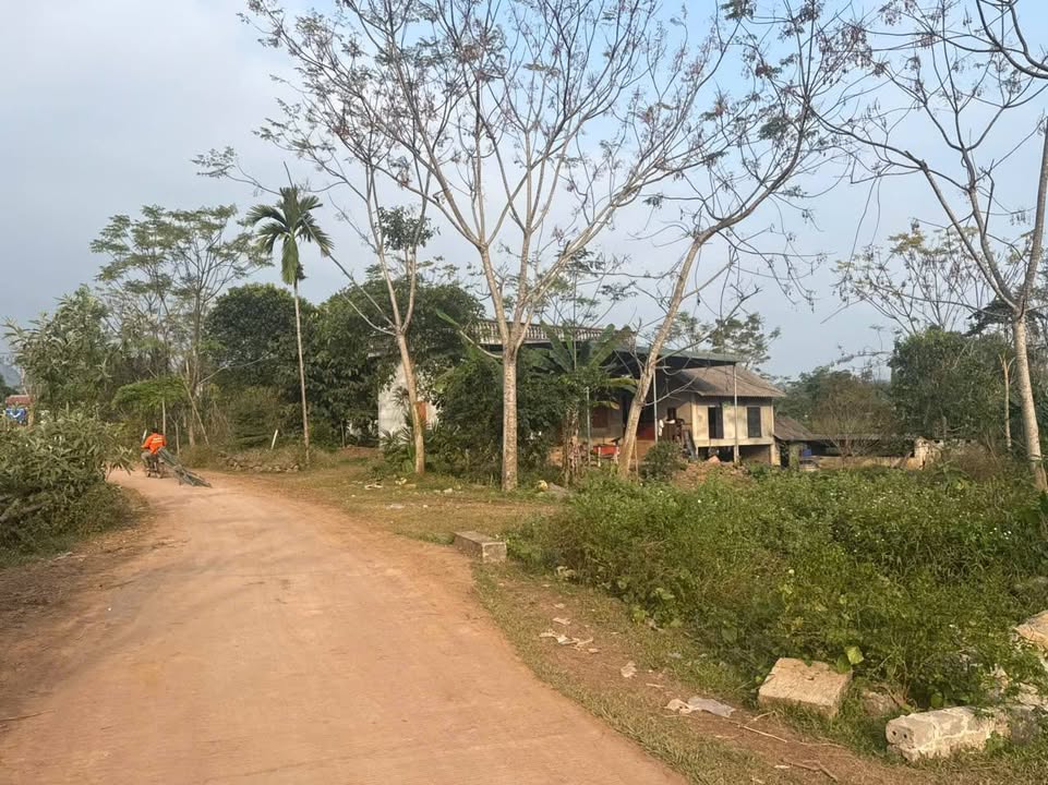 Đất nền xã Tân Vinh 132m² giá 180 triệu - Cơ hội đầu tư tuyệt vời!