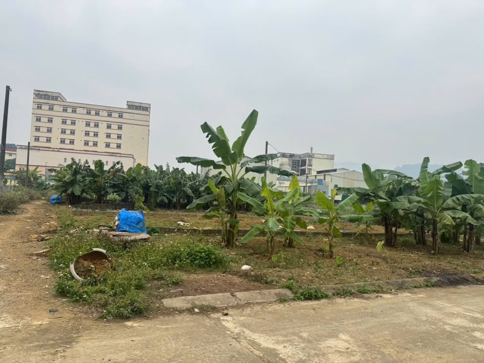 Đất thổ cư 100m² xã Thủy Xuân Tiên giá 1 tỷ - Gần chợ và trường học!