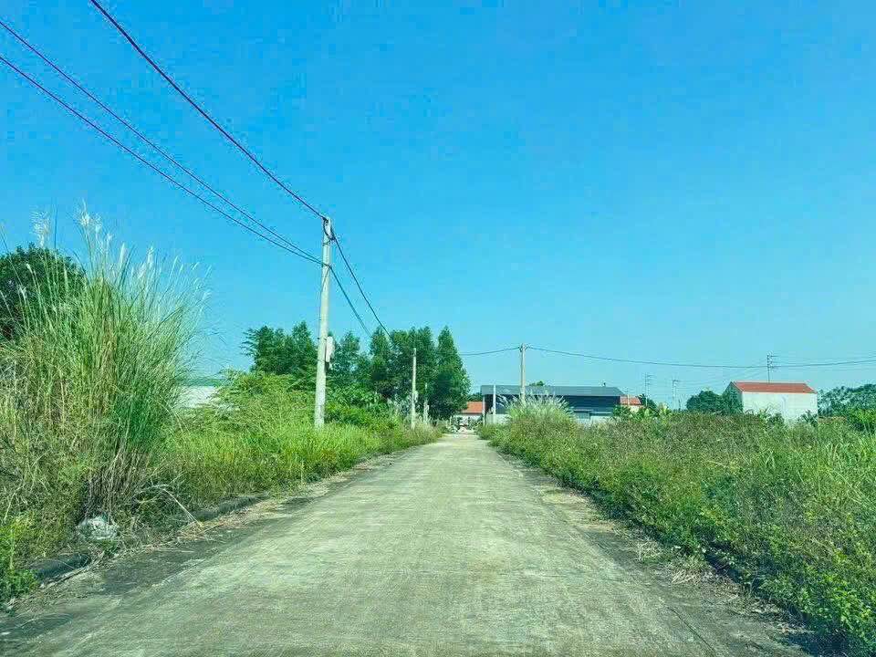 Đất nền khu 4 Dân Quyền, Tam Nông, Phú Thọ - Diện tích 15m², giá thỏa thuận hấp dẫn!