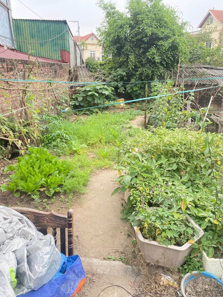 Lô đất đẹp tại Đa Tốn, Gia Lâm 46m² - Gần Vinhomes Ocean Park 1, sổ đỏ chính chủ!