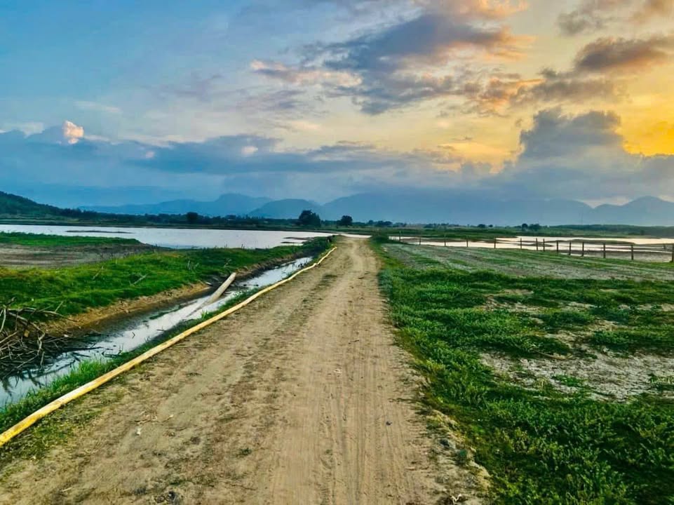 Đất nền thôn Tân Sơn Khánh Hòa 4498m² giá 5 tỷ - View Hồ Suối Trầu đẹp mê ly!