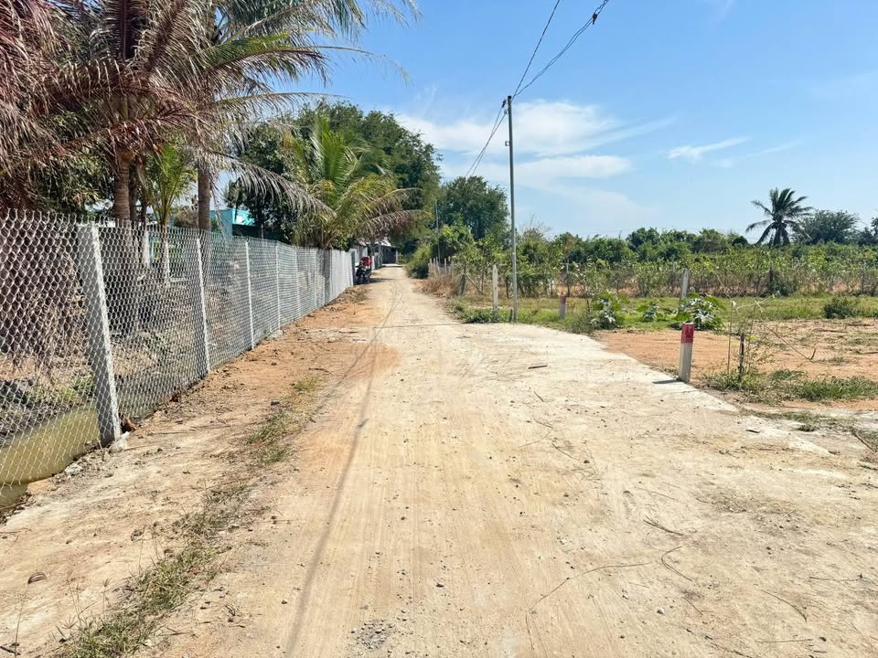 Đất Farm Bảo An 1.000m² giá chỉ 1 tỷ - Đầu tư lâu dài sinh lời!