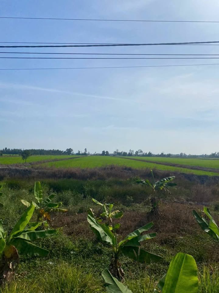 Đất ruộng Lung Lớn, xã Kiên Bình, 20.945m² giá 3.9 tỷ - Cơ hội đầu tư tuyệt vời!