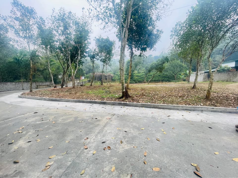 Đất nền đẹp Tân Vinh, Lương Sơn, Hòa Bình 600m² - Cơ hội đầu tư tuyệt vời!