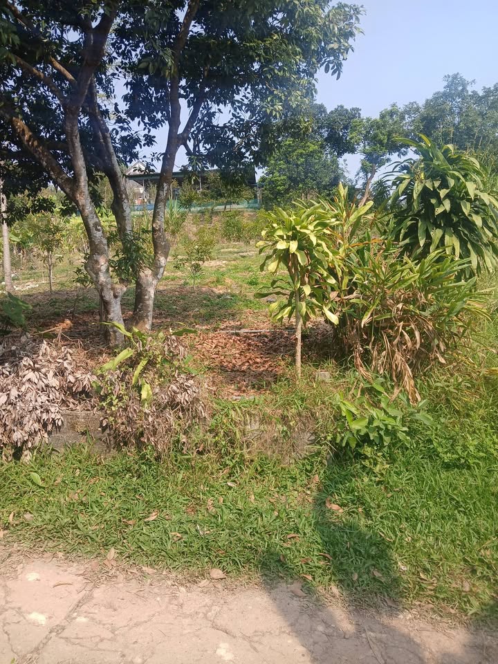 Lô đất 550m² tại Thái Nguyên - Tiềm năng đầu tư sinh lời cao!