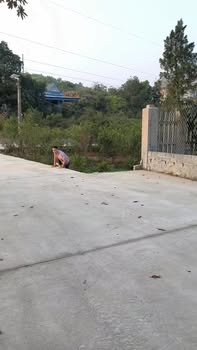 Lô đất đẹp tại Phường Tân Lập, Thái Nguyên - 147,5m² chỉ 1 tỷ - Đầu tư sinh lời ngay!