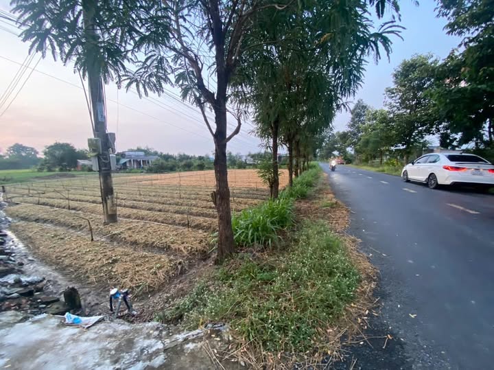 Đất nền mặt tiền Tỉnh Lộ 873B, Gò Công 1050m² giá 3.6 tỷ - Đầu tư sinh lời ngay!