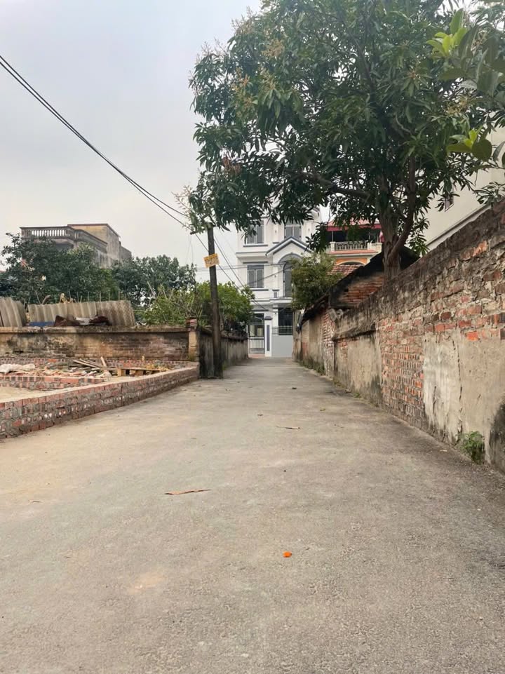 Đất thổ cư 124,5 m² tại Thôn Ngọc Loan, Hưng Yên - Giá 4 tỷ - Sẵn sàng giao dịch!