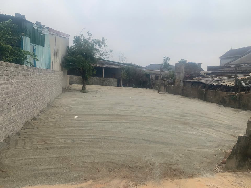 Mặt bằng cho thuê tại Xóm Kim Yên, Nghi Liên 300m² - Vị trí đắc địa gần chợ và trường học