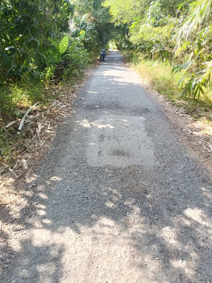 Đất vườn mặt tiền đường nhựa Xã Bình Thành 1000m² giá 450 triệu - Đầu tư sinh lời hấp dẫn!