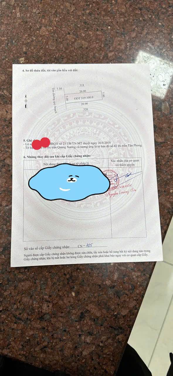 Bán gấp FrontHouse 100m² tại Thị trấn Tân Phong - Gần dự án Ecopark