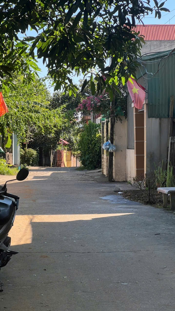 Đất thổ cư 127m² Thụy Vân – Giá đầu tư chỉ 1 tỷ đồng