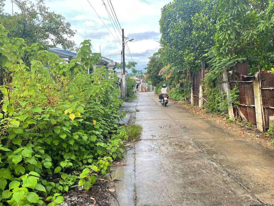 Đất thổ cư Đại Hiệp, Đại Lộc 200m² giá 1.78 tỷ - Đầu tư hiệu quả!