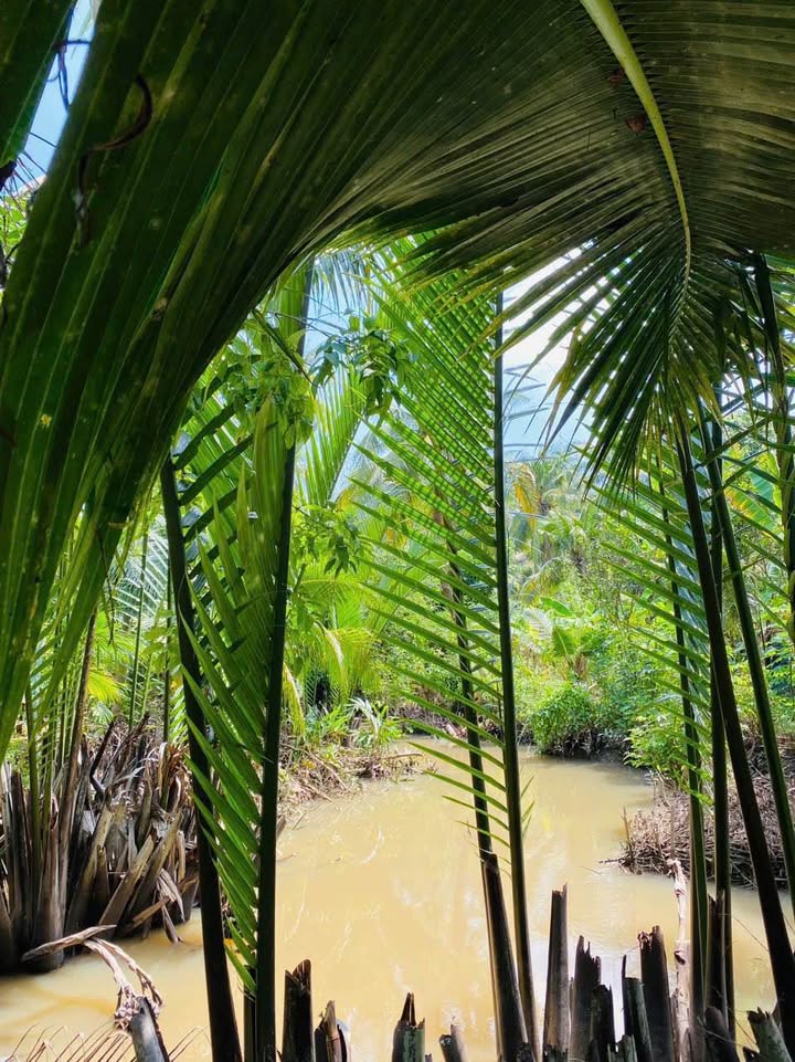 Đất vườn Xã An Phước, Huyện Châu Thành, 1700m² giá 690 triệu - Cơ hội đầu tư hấp dẫn!