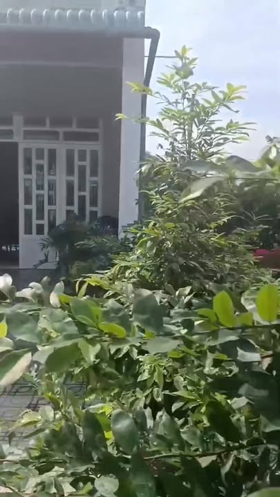 Nhà vườn 768m² tại xã Phước Vinh, Tây Ninh - Giá tốt, chính chủ!