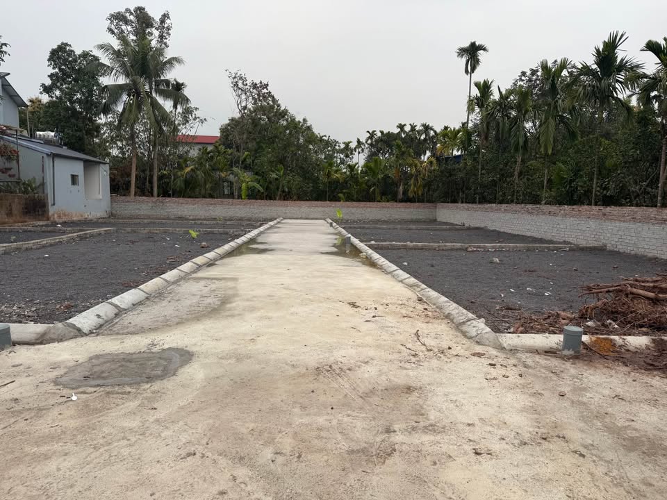 Đất thổ cư 89,8m² thôn Thanh Bồ, xã Lưu Hoàng, huyện Ứng Hòa - Đường ô tô vào tận nơi!