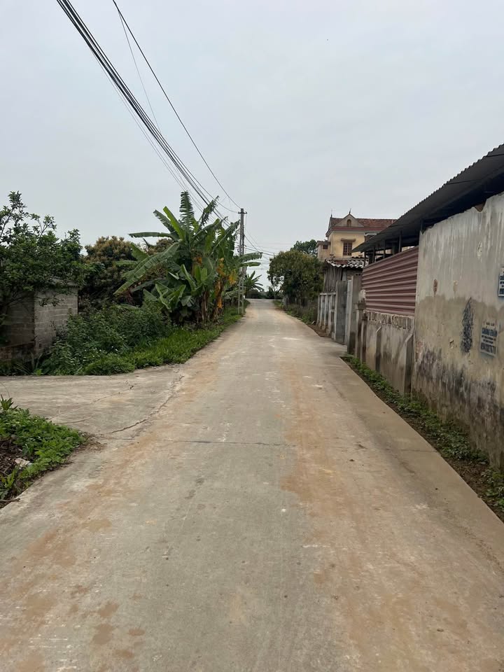 Đất nền Xã Tiên Tiến, Huyện Phù Cừ, 74m² giá 1 tỷ - Đường ô tô vào tận đất!