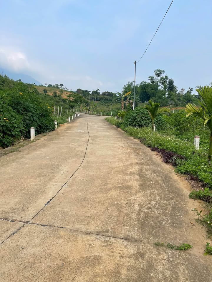 Đất thổ cư Thôn Bưởi, Xã Ba Vì 510m² giá 1.2 tỷ - Mặt tiền rộng 20m!