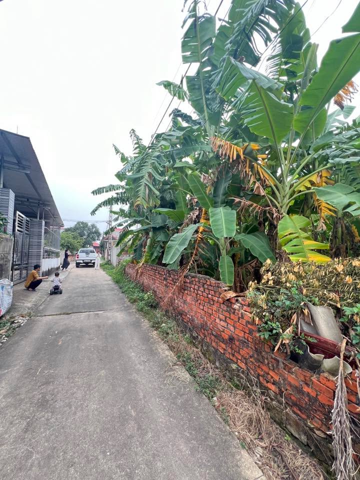 Đất nền chính chủ tại Bắc Lũng, Lục Nam, Bắc Giang 400m² giá 3 tỷ - Cơ hội đầu tư hấp dẫn!