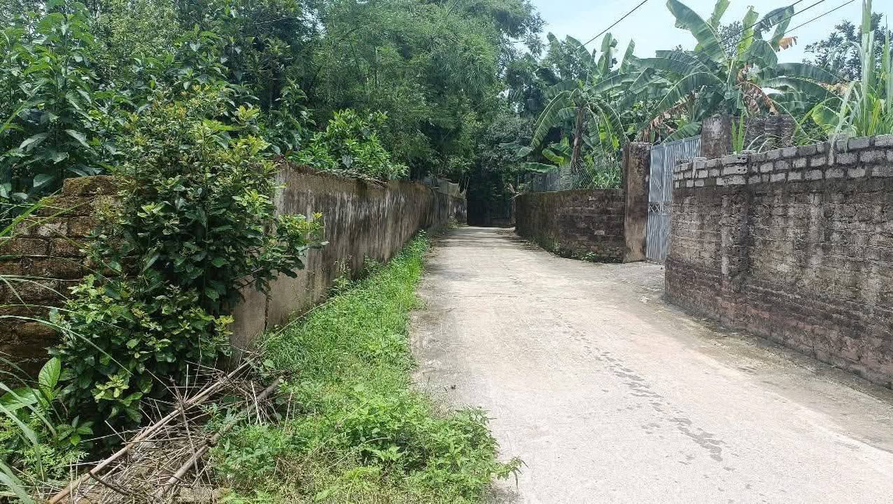 Đất thổ cư 128m² tại khu công nghiệp Phúc Sơn, Tân Yên - Giá chỉ 500 triệu!