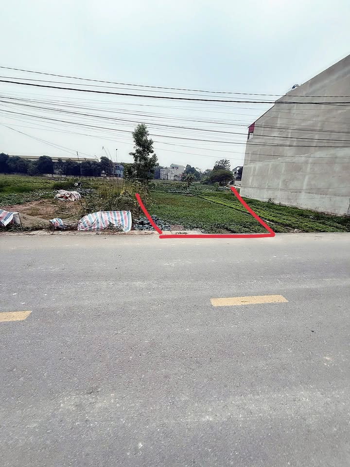 Đất nền 90m² đường Nguyễn Trọng Tỉnh, Huyện Hiệp Hòa chỉ 2 tỷ - Cơ hội đầu tư tuyệt vời!