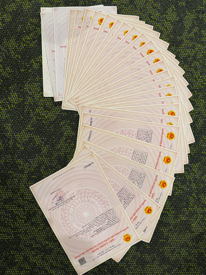 Đất nền Yên Phú, Thanh Hóa 100m² chỉ từ 300 triệu - Cơ hội đầu tư hấp dẫn!