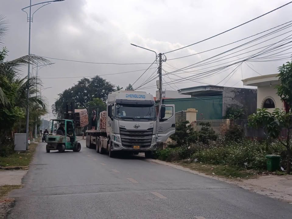 Nhà vườn 301m² + 1500m² đất thổ cư tại An Thái, An Lão - Giá cực tốt!